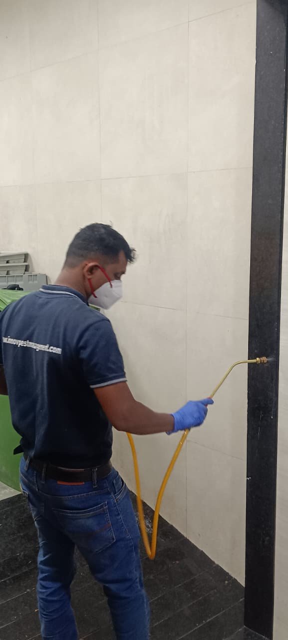 WhatsApp Image 2025-09-30 at 15.46.24_0c78a172