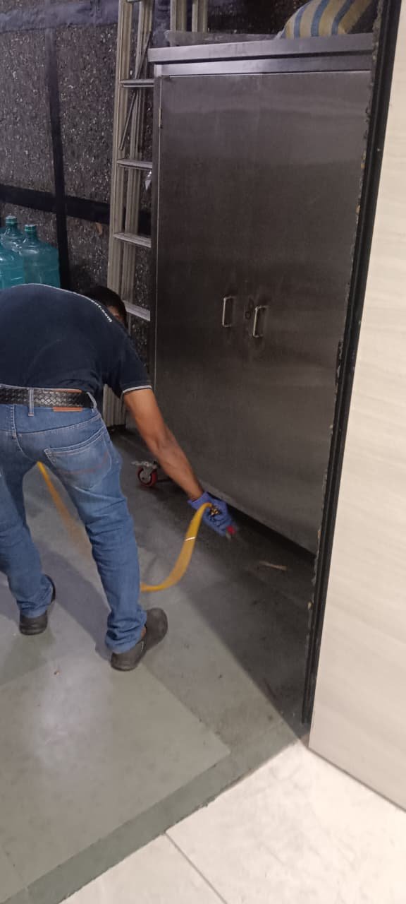 WhatsApp Image 2025-09-30 at 15.46.26_59c0b41d