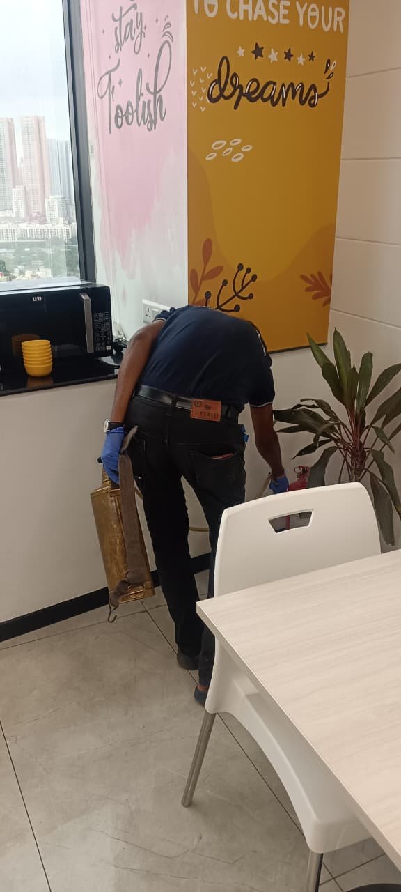 WhatsApp Image 2025-09-30 at 15.46.27_654bdcd2