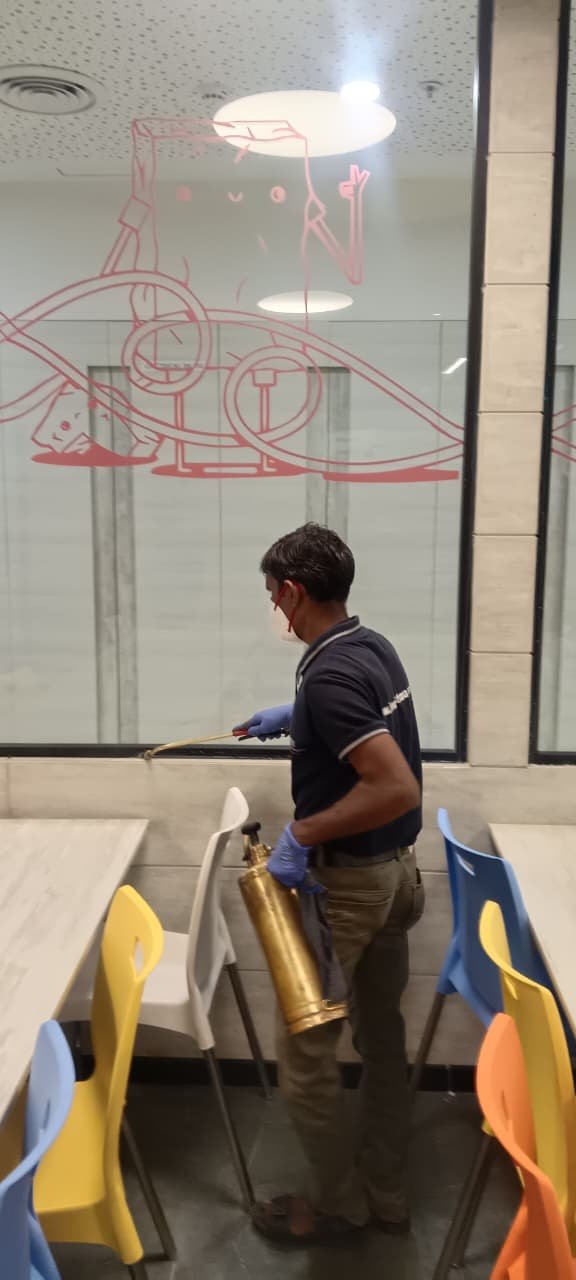 WhatsApp Image 2025-09-30 at 15.46.28_a64c645a